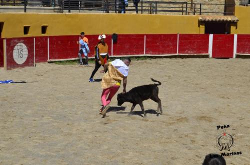 _DSC0105