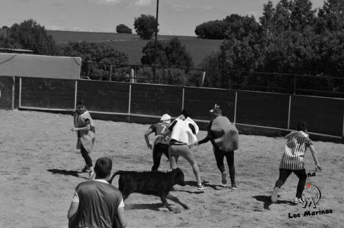 _DSC0121