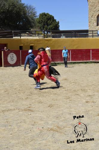 _DSC0205
